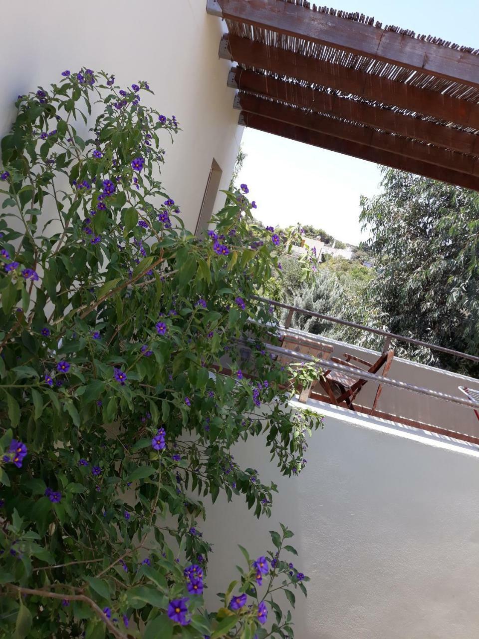 Vilana Studios Kalamos  Kültér fotó
